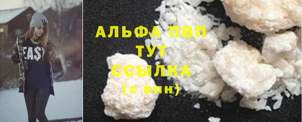 тгк Инсар