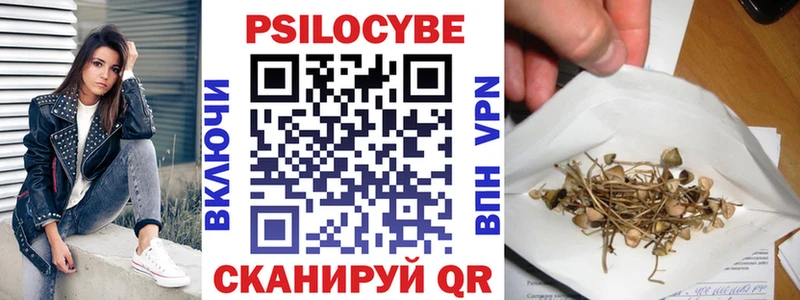 Купить где  Дубовка  Псилоцибиновые грибы MAGIC MUSHROOMS 